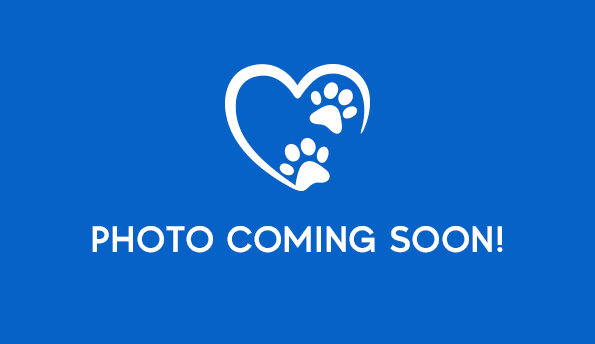 photo-coming-soon Photo coming soon
